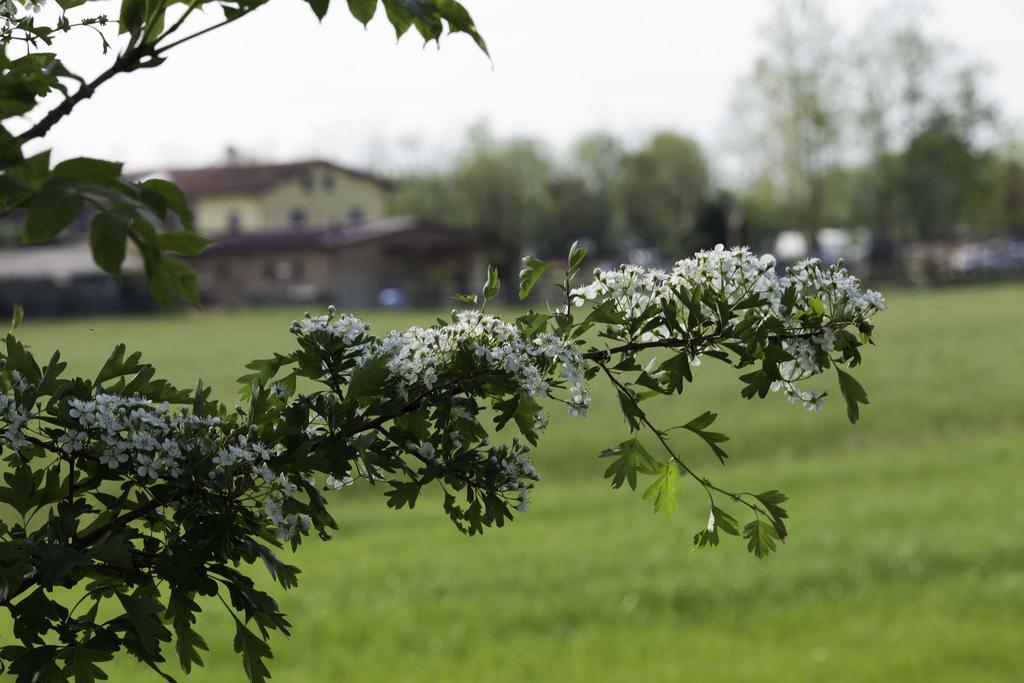 فندق Zanicaفي  Agriturismo I Due Merli المظهر الخارجي الصورة